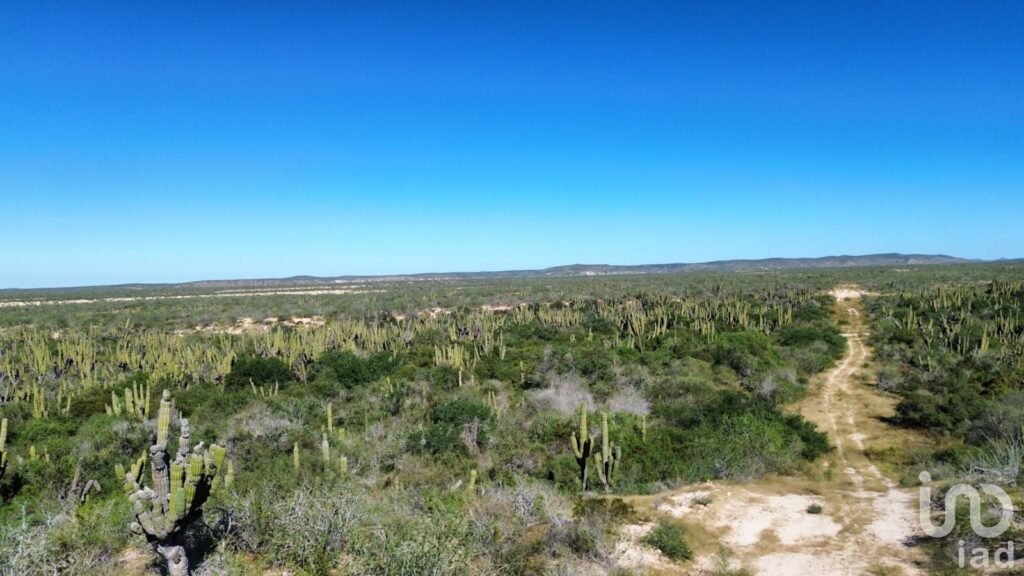 Terreno Rústico Campestre 5,000 m² en Agua Blanca La Paz Baja California Sur