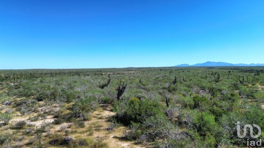Terreno Rústico Campestre 5,000 m² en Agua Blanca La Paz Baja California Sur