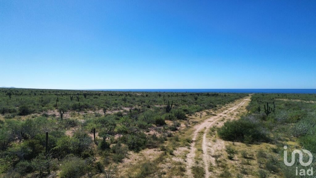Terreno Rústico Campestre 5,000 m² en Agua Blanca La Paz Baja California Sur