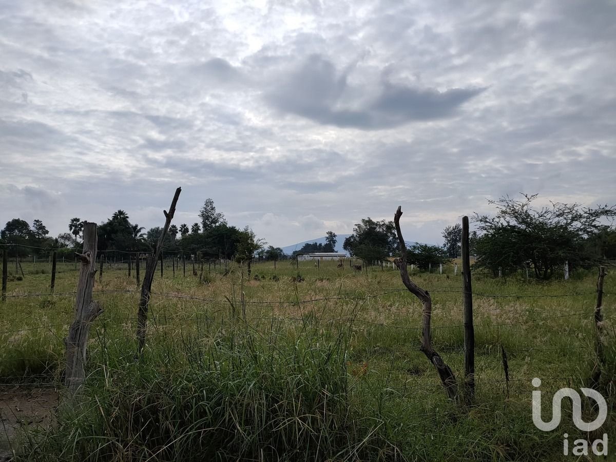 Venta de terreno en Granjas de San Isidro, Tala Jalisco