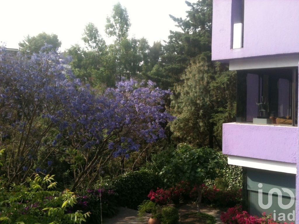 VENTA CASA EN LOMAS BEZARES, MIGUEL HIDALGO