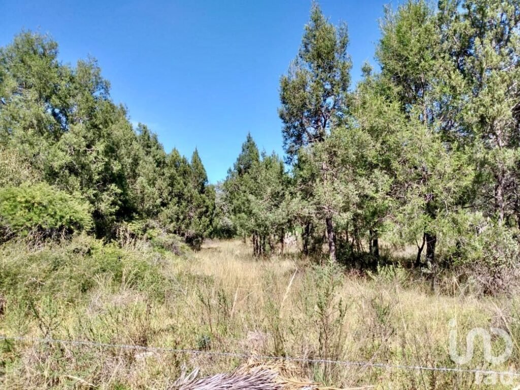 Terreno para fraccionamiento o centro comercial frente a Cd Judicial Tlaxcala