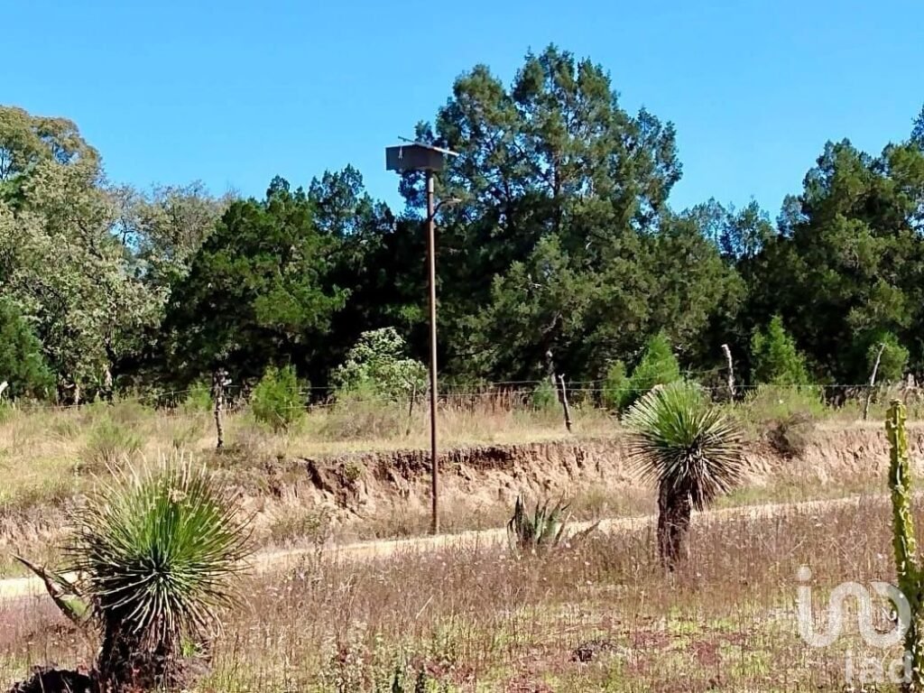 Terreno para fraccionamiento o centro comercial frente a Cd Judicial Tlaxcala