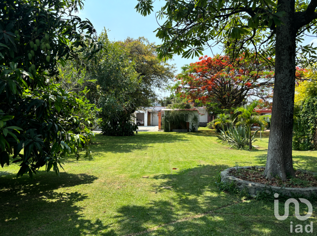 CASA EN VENT EN CUAUTLA