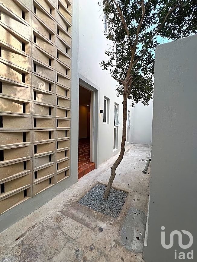 Departamento en RENTA colonia Seattle