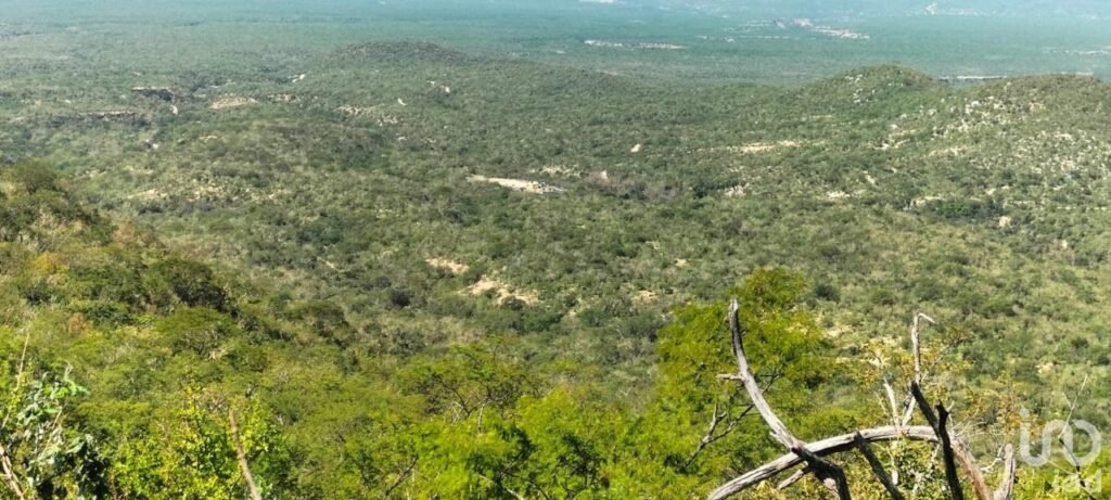 HECTAREAS EN VENTA EN ELIAS CALLES