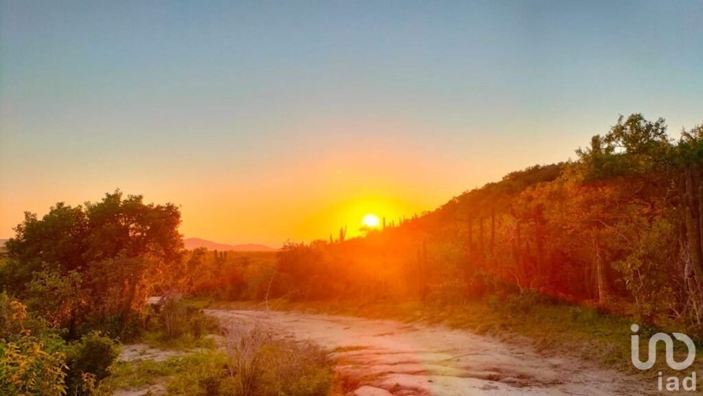 HECTAREAS EN VENTA EN ELIAS CALLES