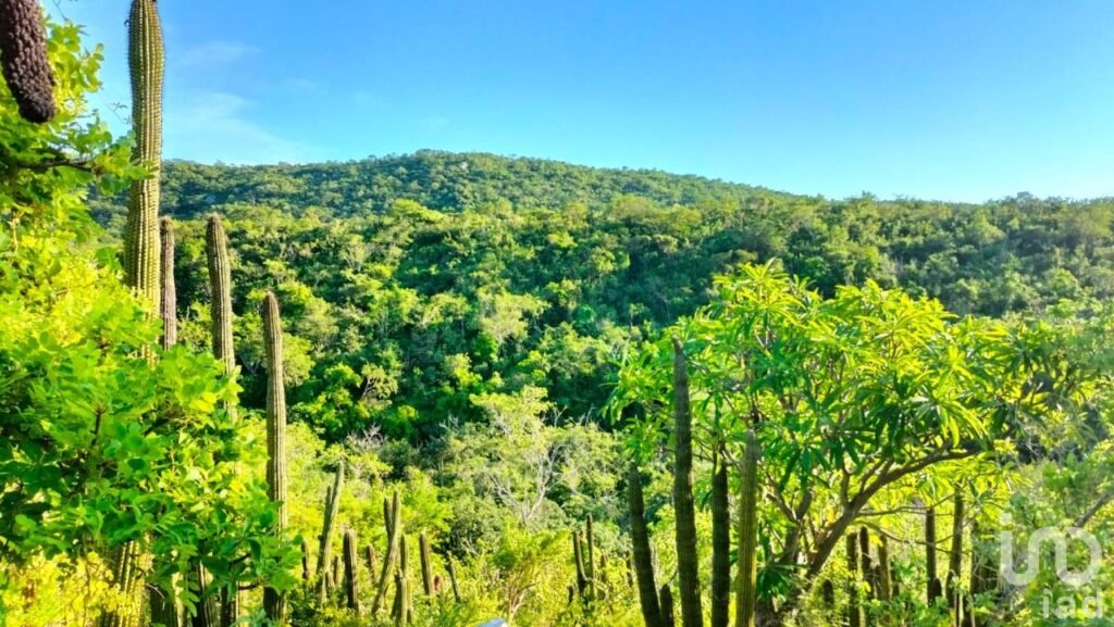 HECTAREAS EN VENTA EN ELIAS CALLES