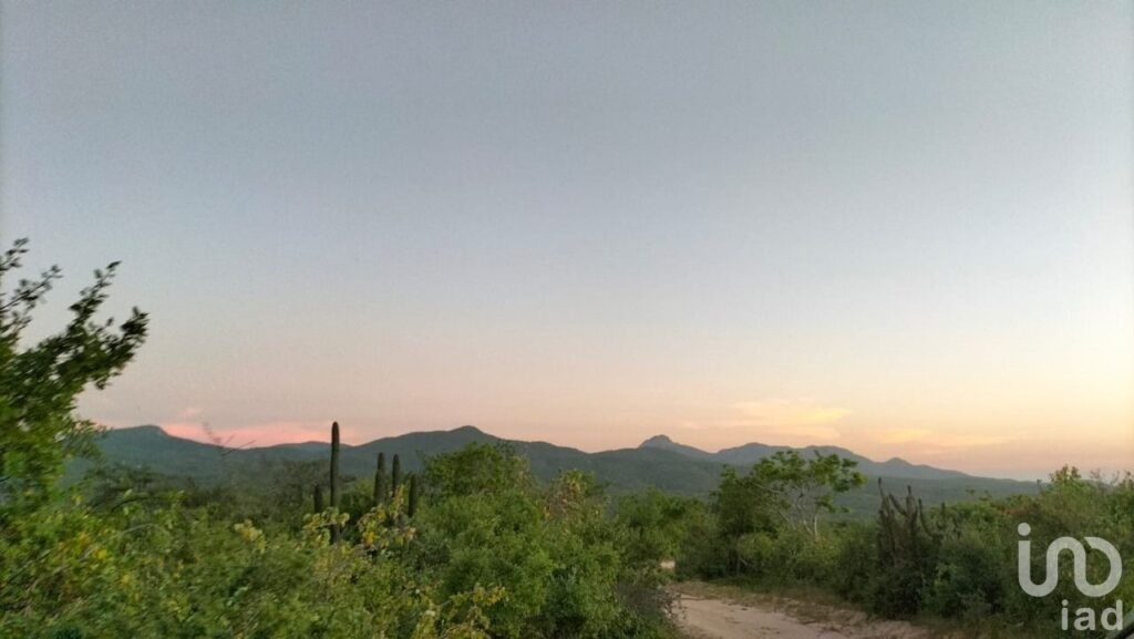 HECTAREAS EN VENTA EN ELIAS CALLES