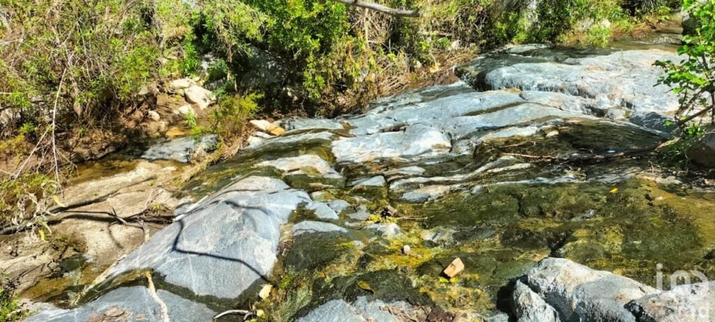 HECTAREAS EN VENTA EN ELIAS CALLES