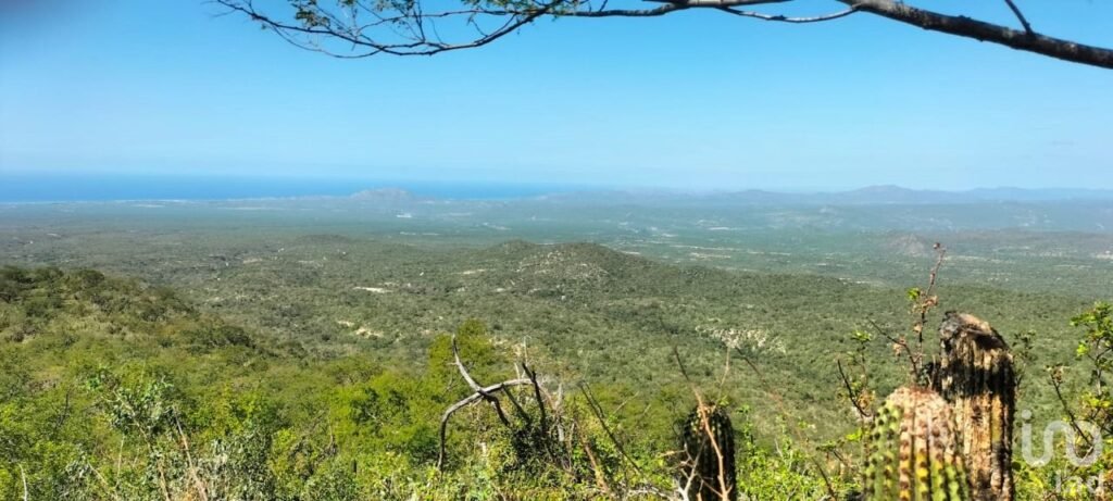 HECTAREAS EN VENTA EN ELIAS CALLES