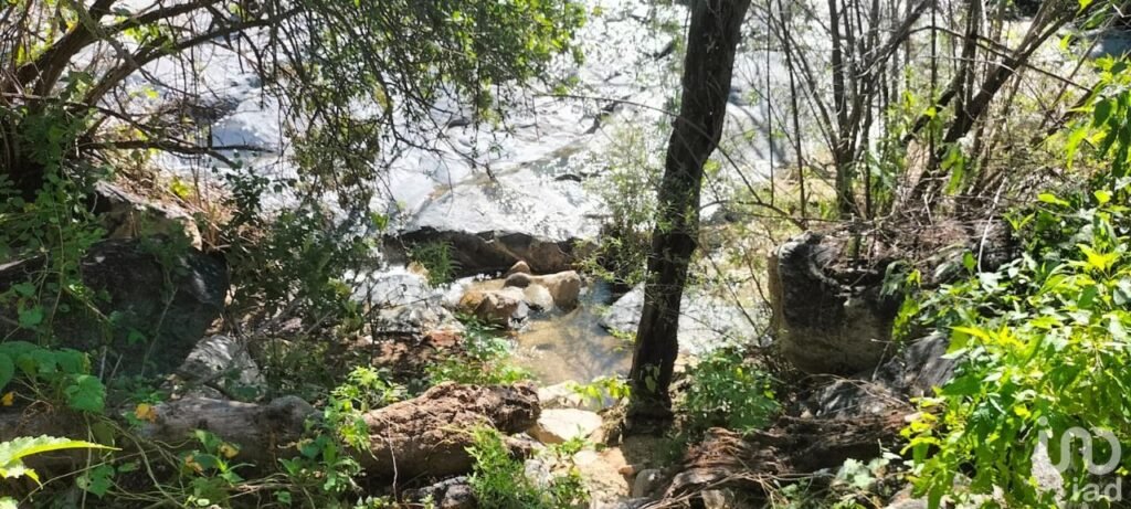 HECTAREAS EN VENTA EN ELIAS CALLES