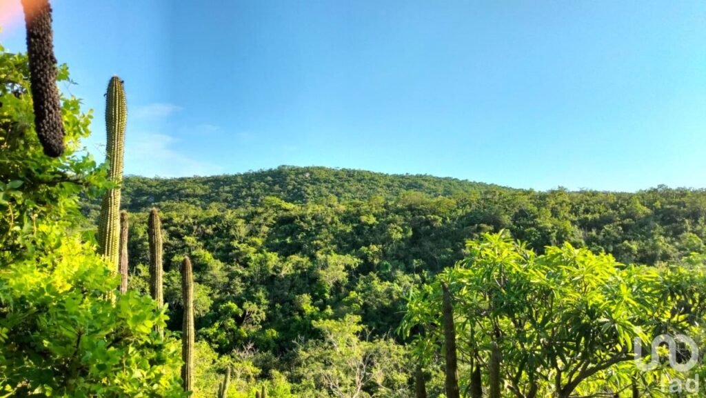 HECTAREAS EN VENTA EN ELIAS CALLES