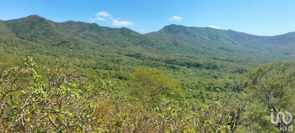 HECTAREAS EN VENTA EN ELIAS CALLES