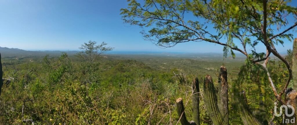 HECTAREAS EN VENTA EN ELIAS CALLES