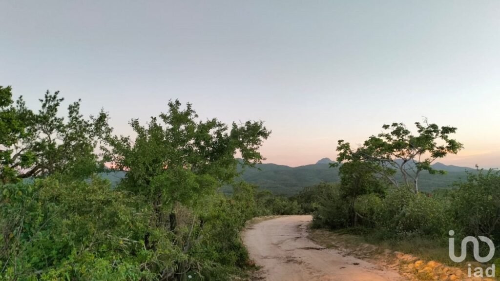 HECTAREAS EN VENTA EN ELIAS CALLES