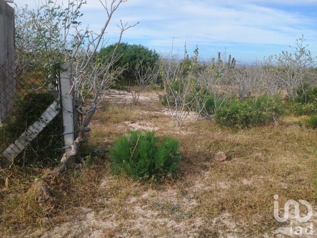 TERRENO EN VENTA PIE DE PLAYA EN TODOS SANTOS
