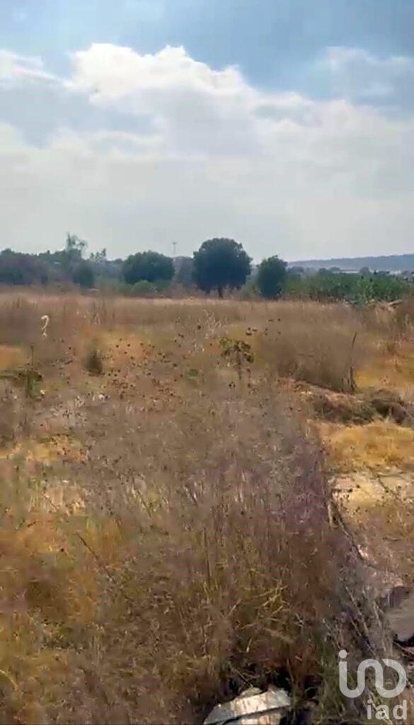 VENTA DE TERRENO EN TEOLOYUCAN