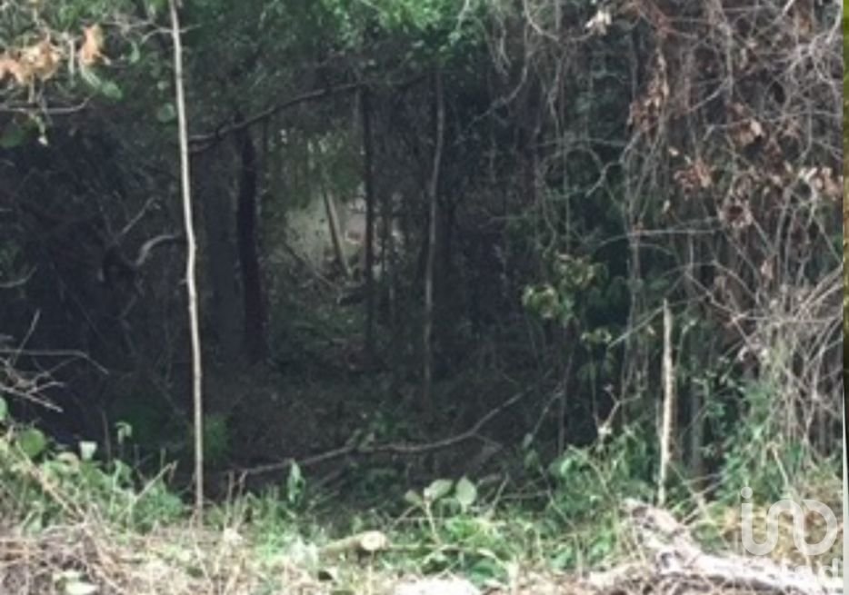 Terreno en Venta en Playa del Carmen