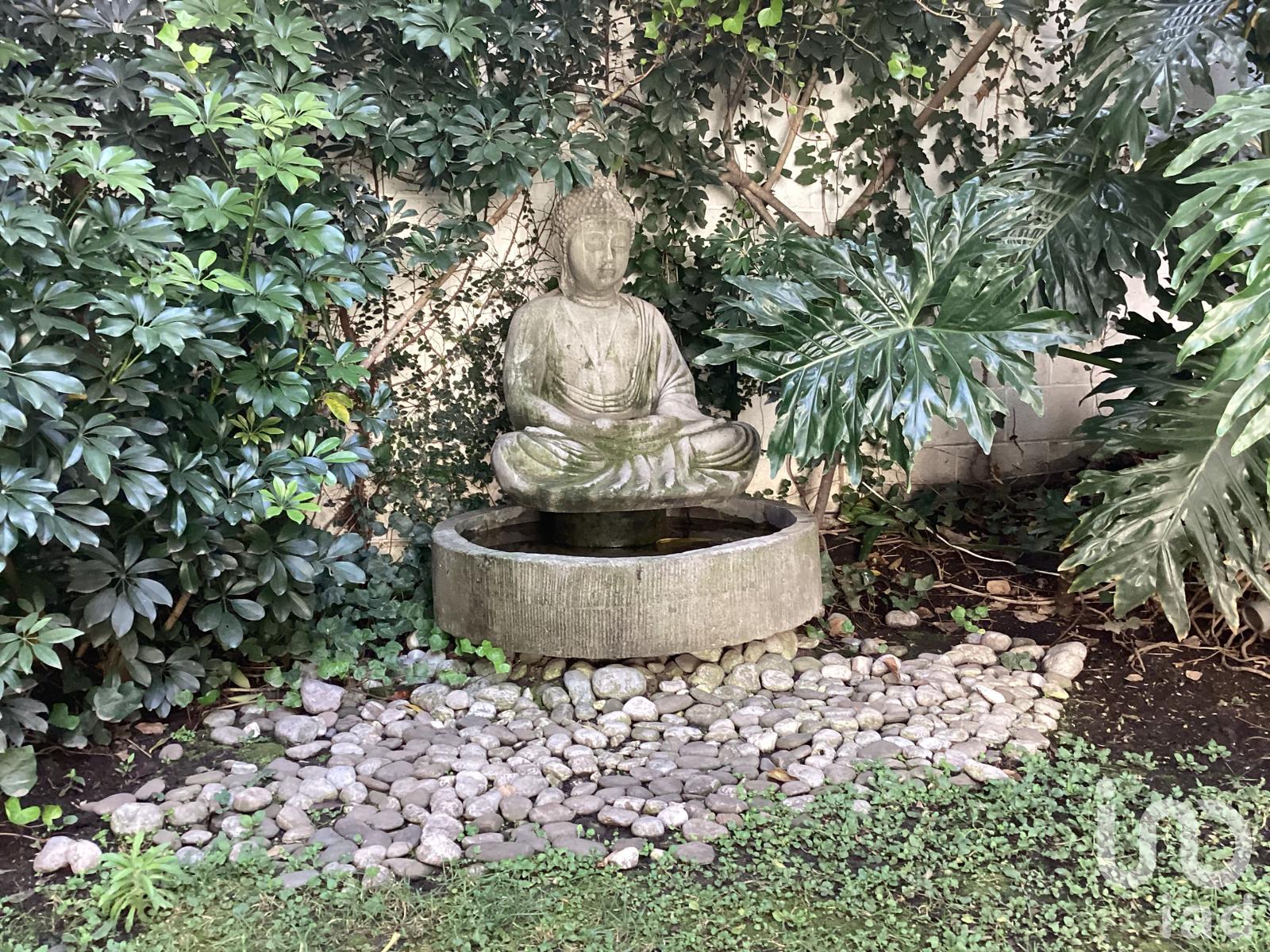 Hub en Coyoacán (suites, coworking y oficinas)