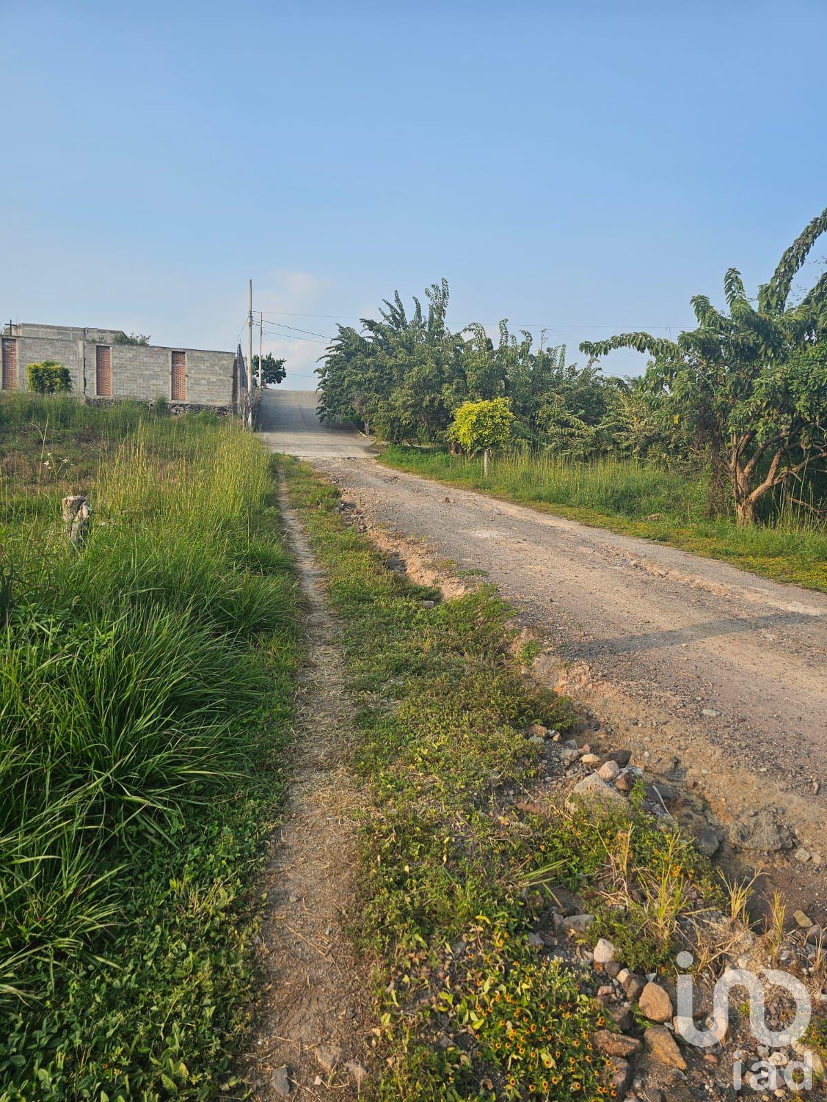 TERRENO RUSTICO TERRENO RUSTICO