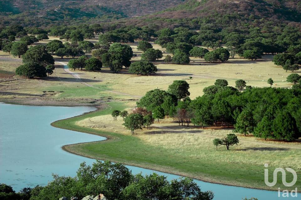 Terreno en Venta en La Sierra del Laurel - Calvillo, Aguascalientes