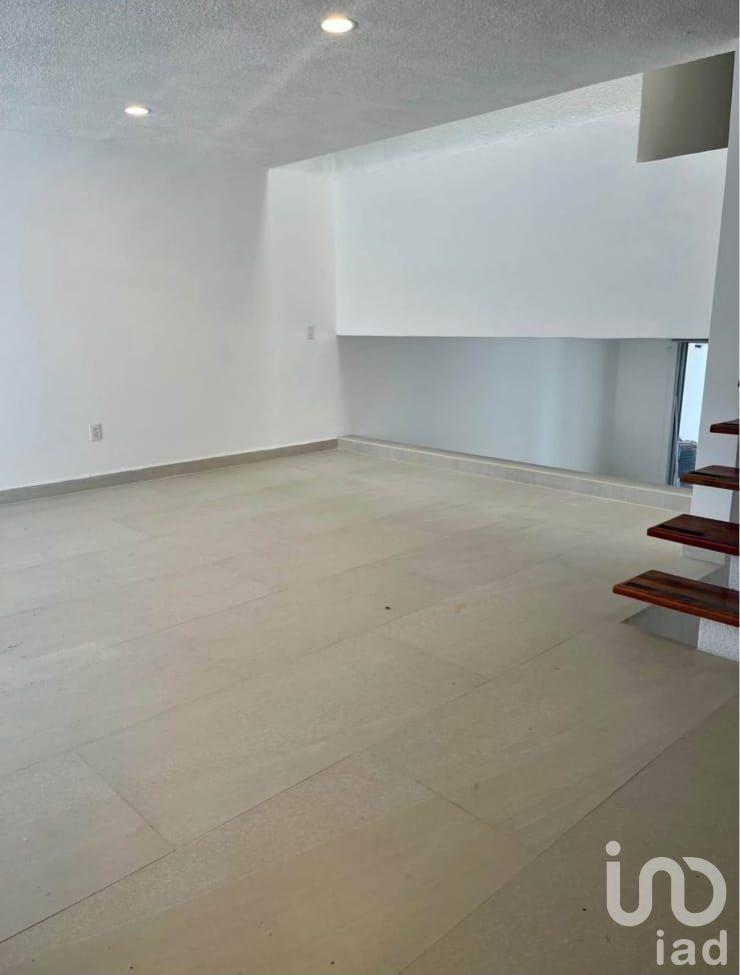 ALAMOS EN RENTA, QUERETARO.