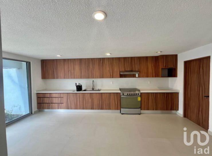 ALAMOS EN RENTA, QUERETARO.