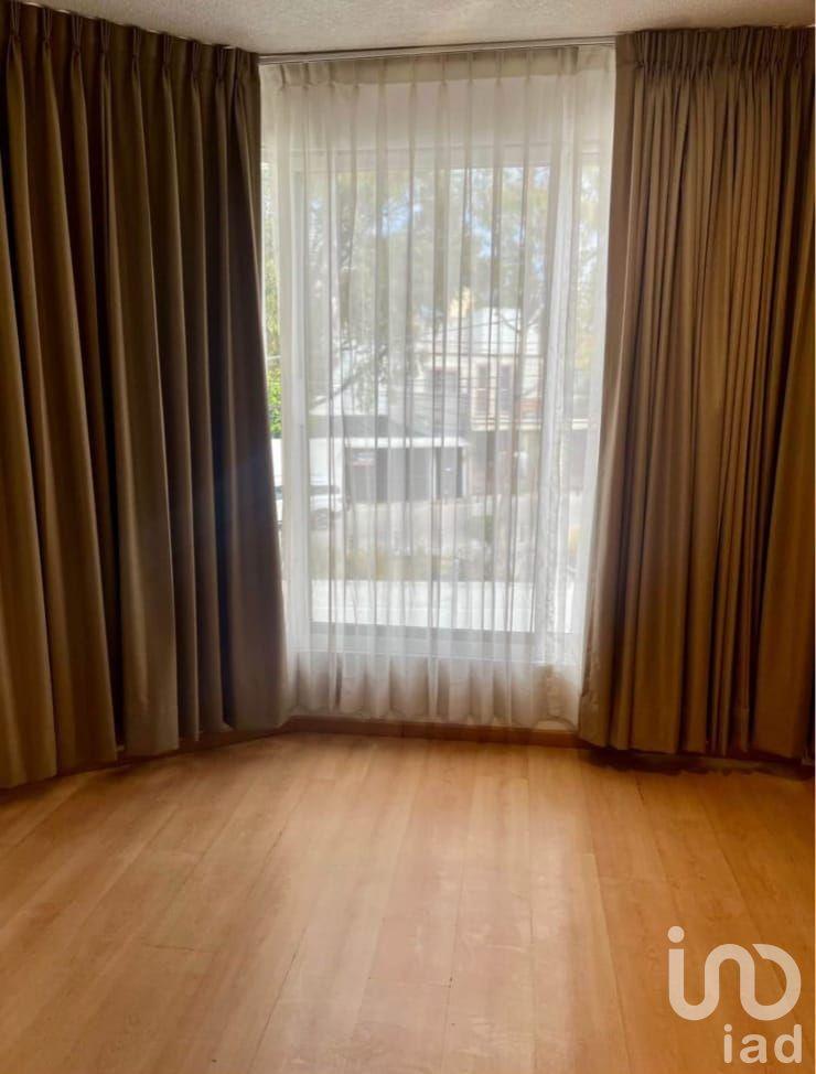 ALAMOS EN RENTA, QUERETARO.