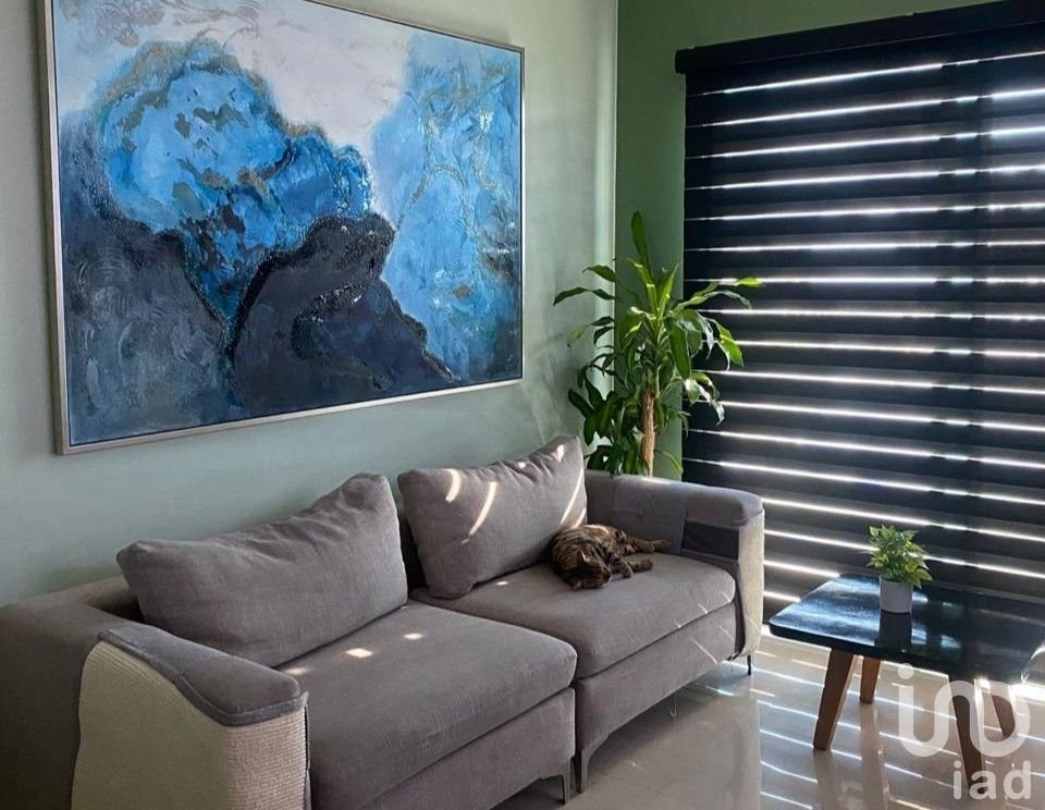 Departamento en Renta en Gaviotas, Zona Dorada, Mazatlán, Sinaloa.