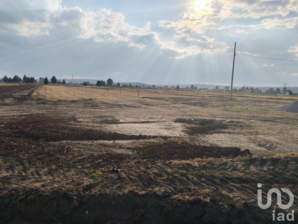 TERRENO EN MUÑOZ DE DOMINGO ARENAS