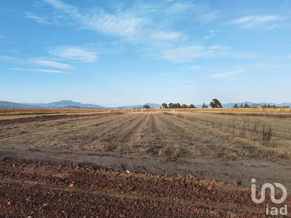 TERRENO EN MUÑOZ DE DOMINGO ARENAS