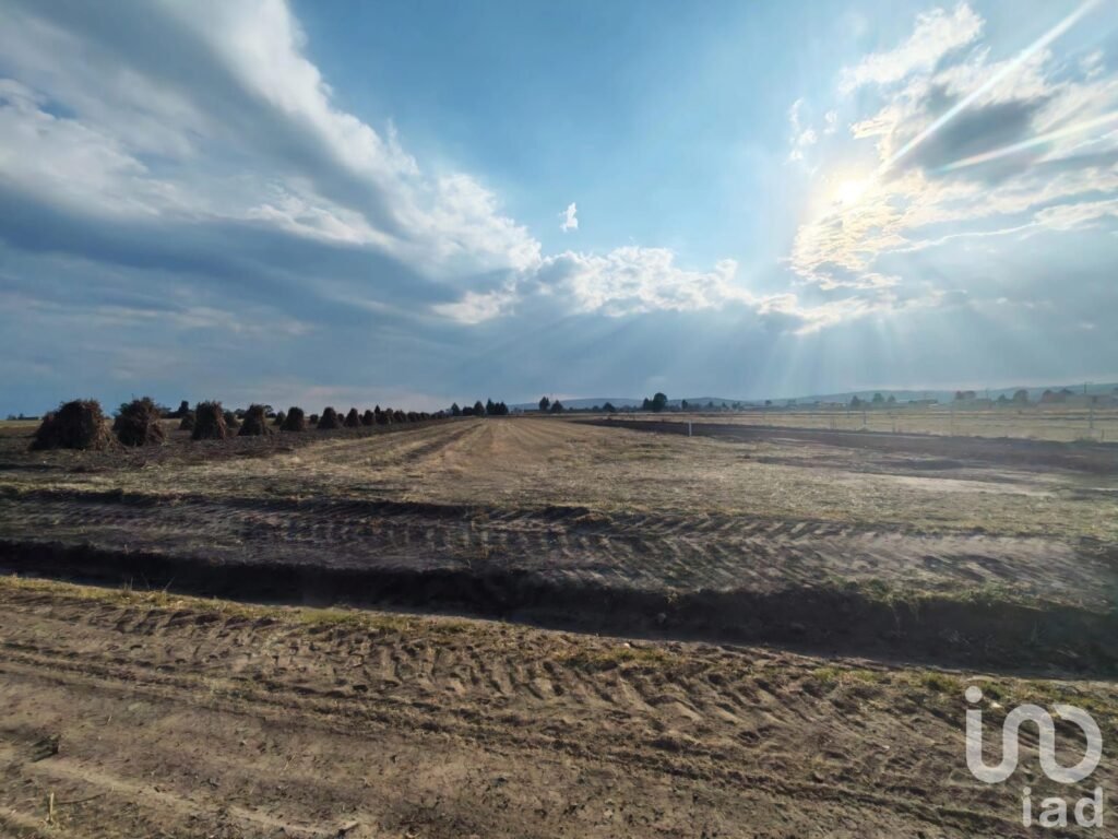 TERRENO EN MUÑOZ DE DOMINGO ARENAS