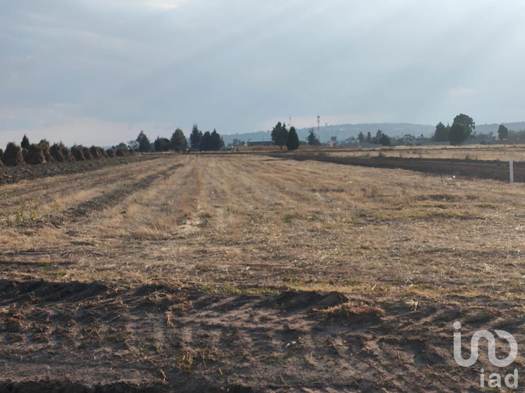 TERRENO EN MUÑOZ DE DOMINGO ARENAS