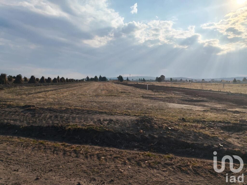 TERRENO EN MUÑOZ DE DOMINGO ARENAS