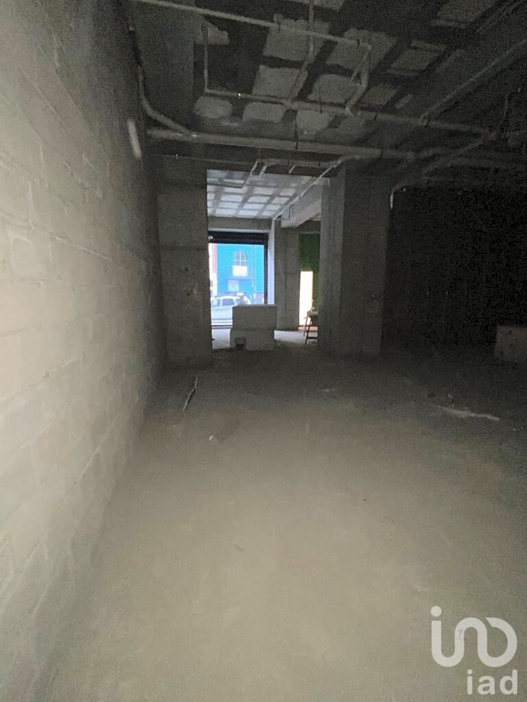 RENTA DE LOCAL EN SAN RAFAEL