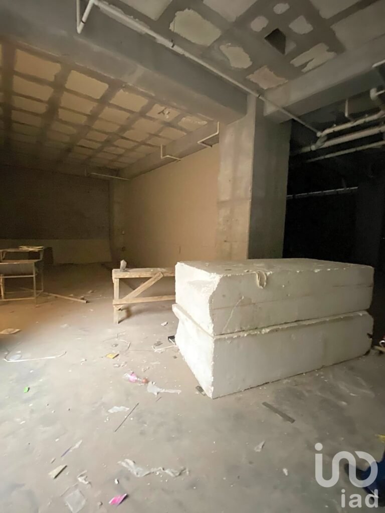 RENTA DE LOCAL EN SAN RAFAEL