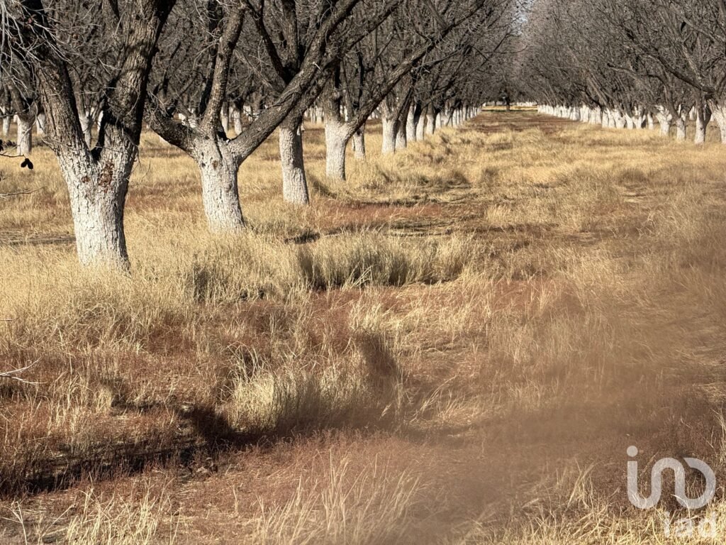 Terreno residencial premium en Alamos de Senecú