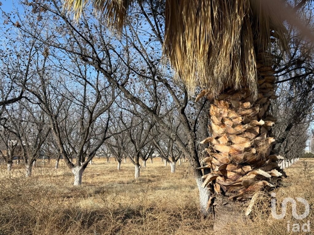 Terreno residencial premium en Alamos de Senecú