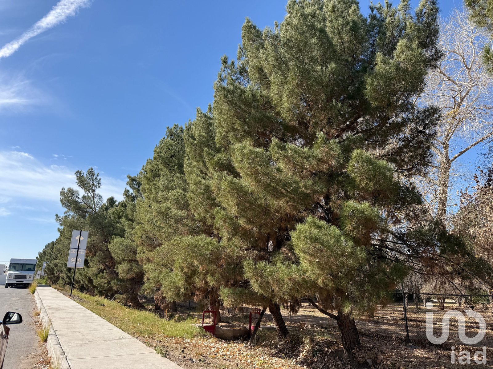 Terreno residencial premium en Alamos de Senecú