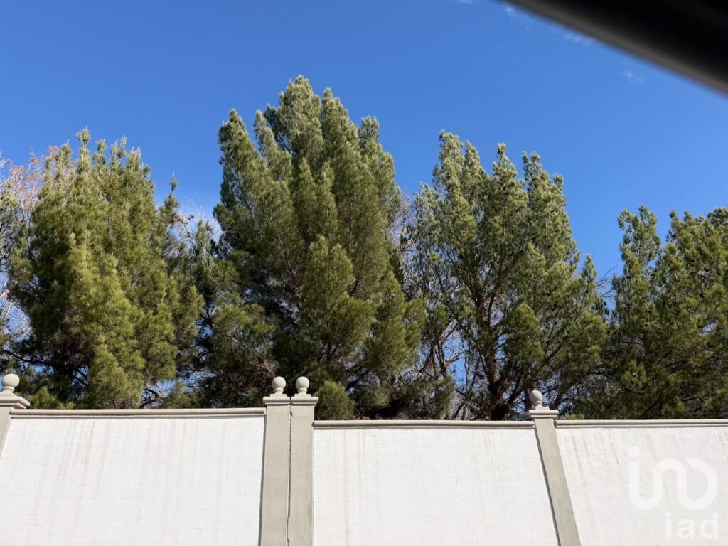 Terreno residencial premium  Alamos de Senecú