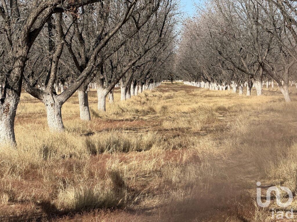 Terreno residencial premium  Alamos de Senecú