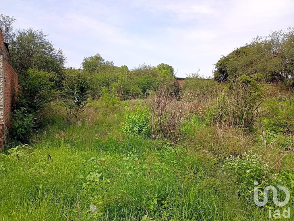 Terreno en Venta en Calvillito Aguascalientes