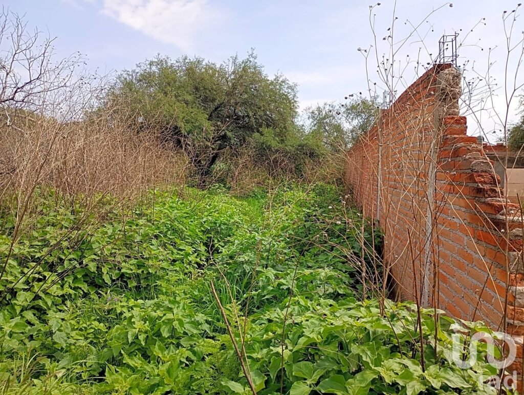 Terreno en Venta en Calvillito Aguascalientes