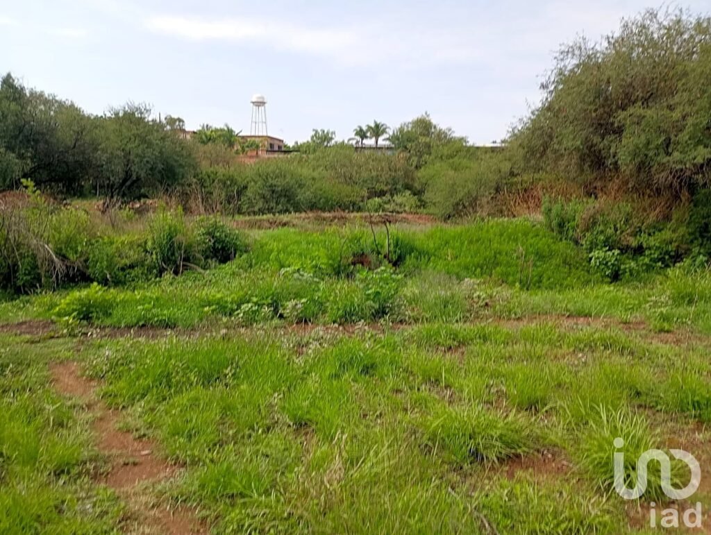 Terreno en Venta en Calvillito Aguascalientes