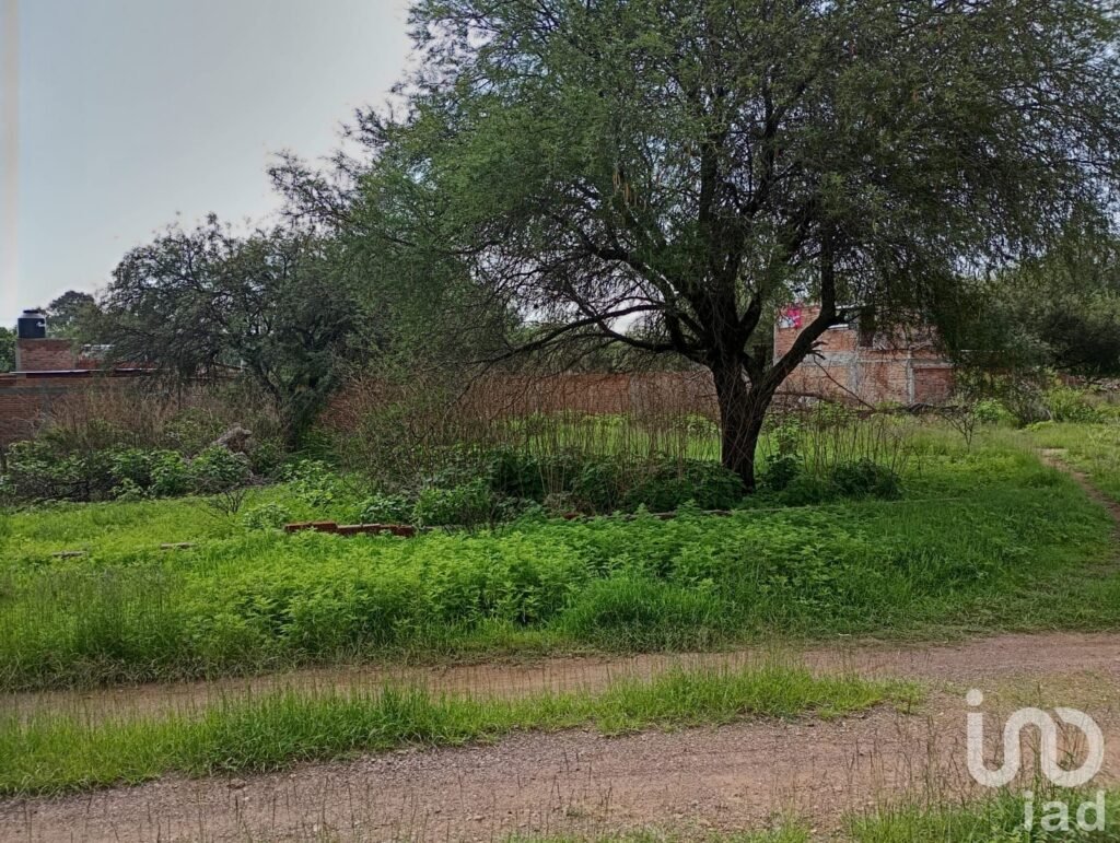 Terreno en Venta en Calvillito Aguascalientes