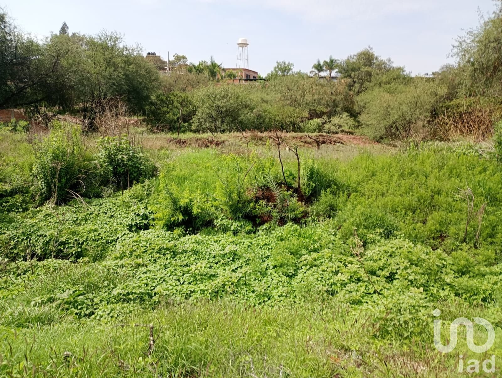 Terreno en Venta en Calvillito Aguascalientes Terreno en Venta en Calvillito Aguascalientes