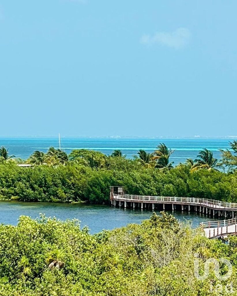 VENTA  DE TERRENO  EN LA LAGUNA 1