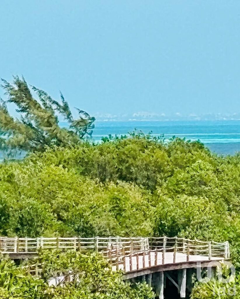 VENTA  DE TERRENO  EN LA LAGUNA 1