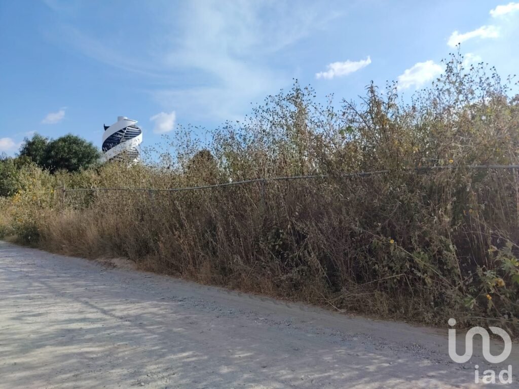 TERRENO EN VENTA SAN BERNARDINO TLAXCALANCINGO